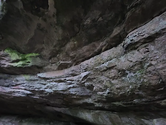 Astronomy Field Picture 1