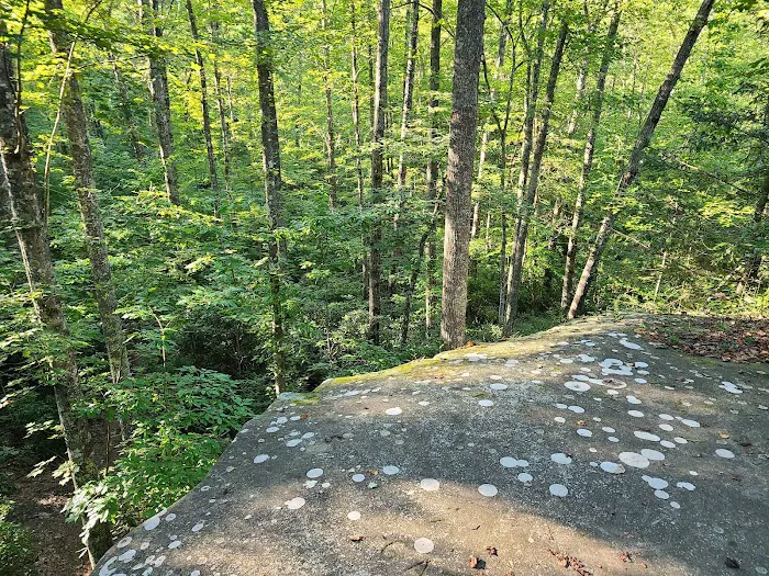 Astronomy Field Picture 2