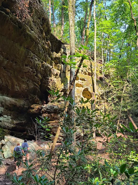 Astronomy Field Picture 6