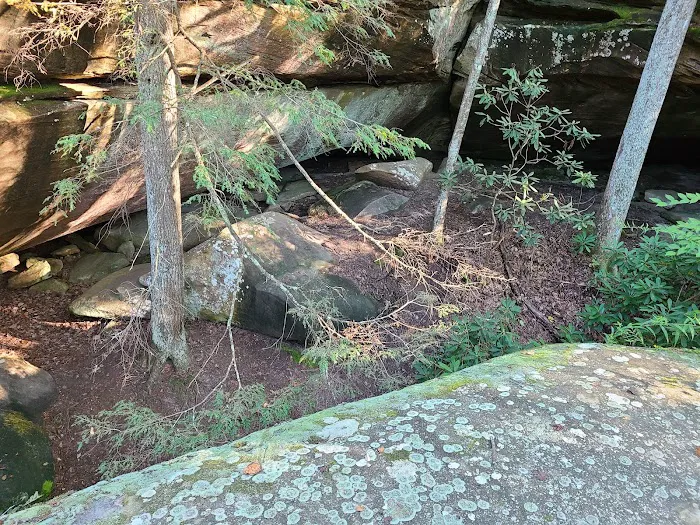 Astronomy Field Picture 9