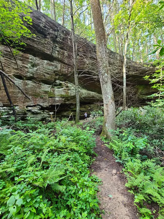 Astronomy Field Picture 8