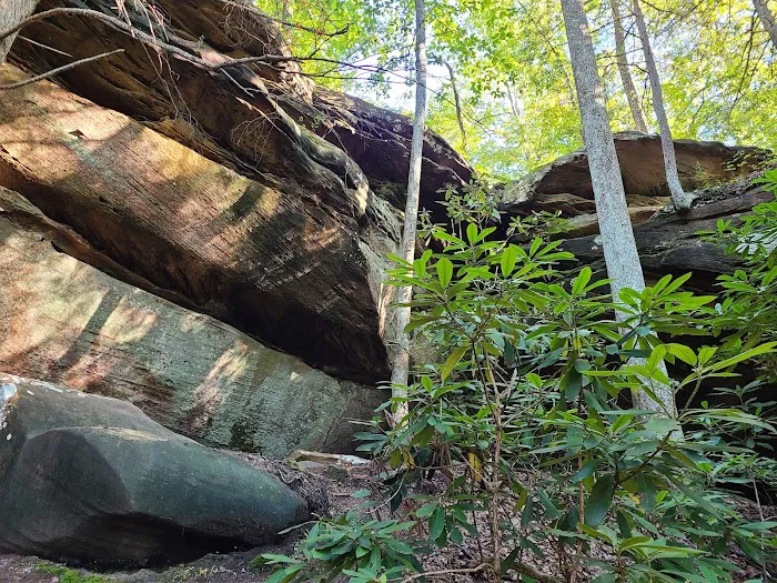 Astronomy Field Picture 10