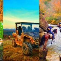 The Isle of Spruce Creek ico