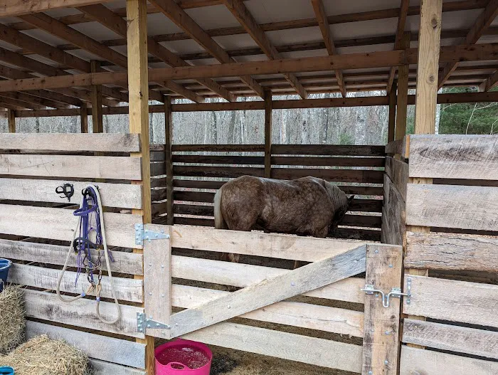 Buck Run Horse Campground LLC Picture 1