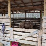 Buck Run Horse Campground LLC