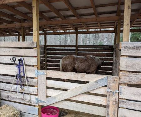 Buck Run Horse Campground LLC