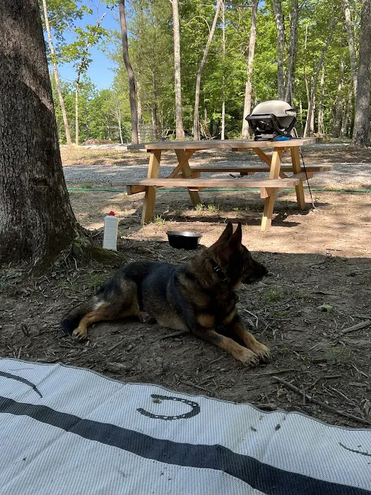 Buck Run Horse Campground LLC Picture 6