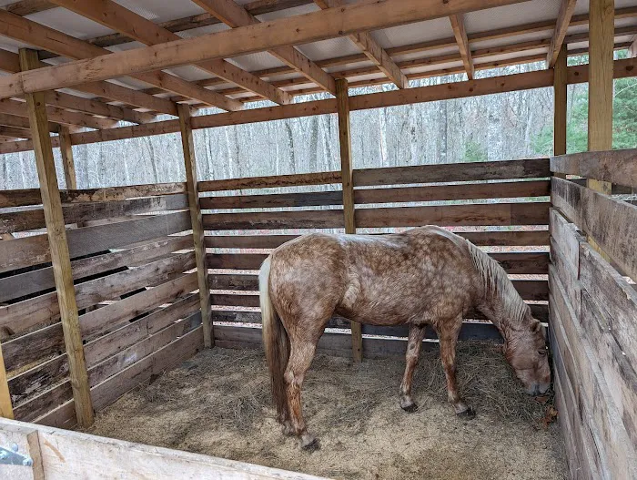 Buck Run Horse Campground LLC Picture 7