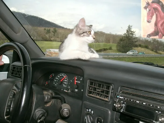 Timber Ridge Horse Campground Picture 5