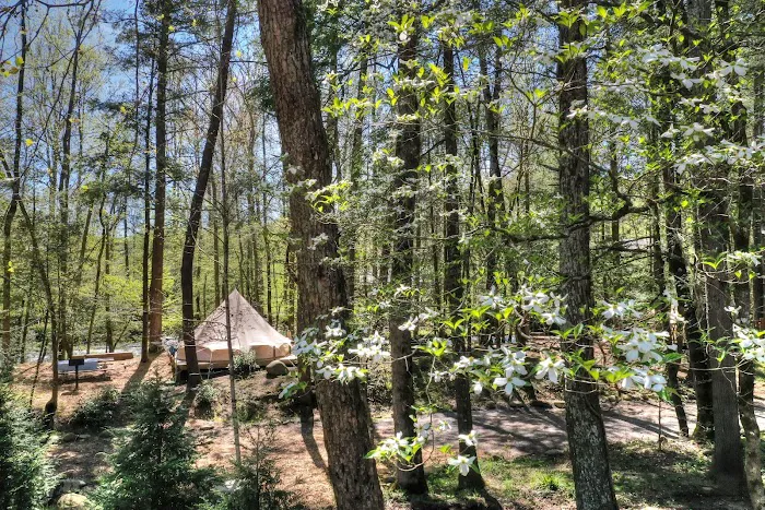 Greenbrier Campground Picture 9