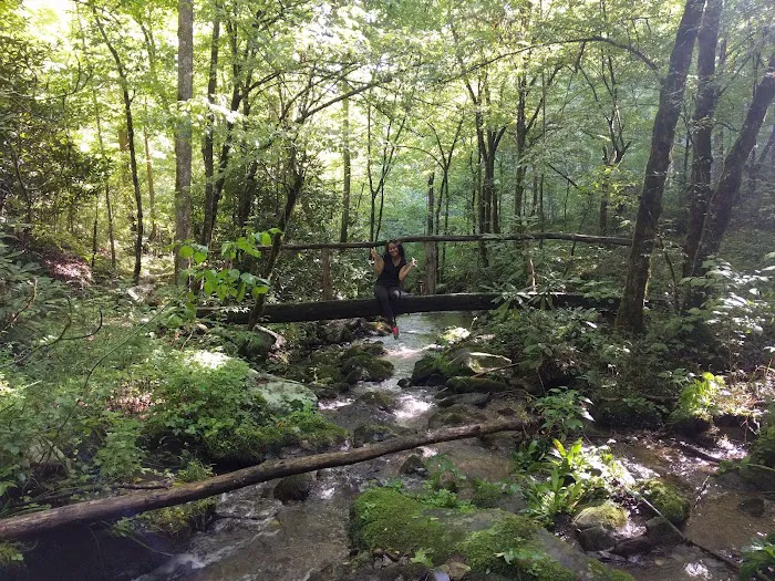 UT Biology Field Station Picture 3