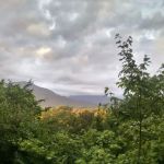 UT Biology Field Station
