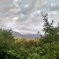 UT Biology Field Station ico