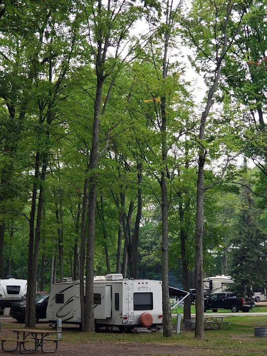 South Higgins Lake Campground Picture 2