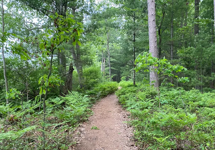 Northern Nights Campground Picture 4