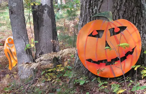 The Higgins Lake Campground Picture 1