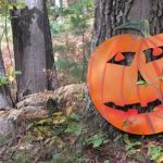 The Higgins Lake Campground