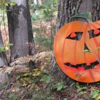 The Higgins Lake Campground ico