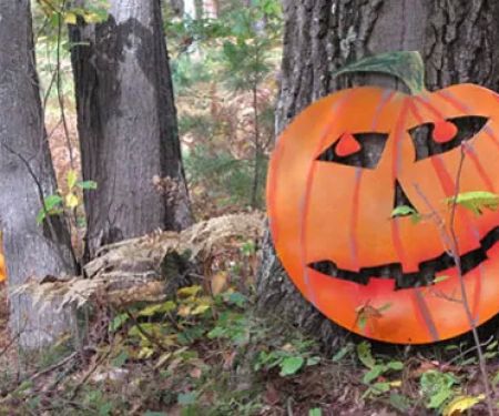 The Higgins Lake Campground