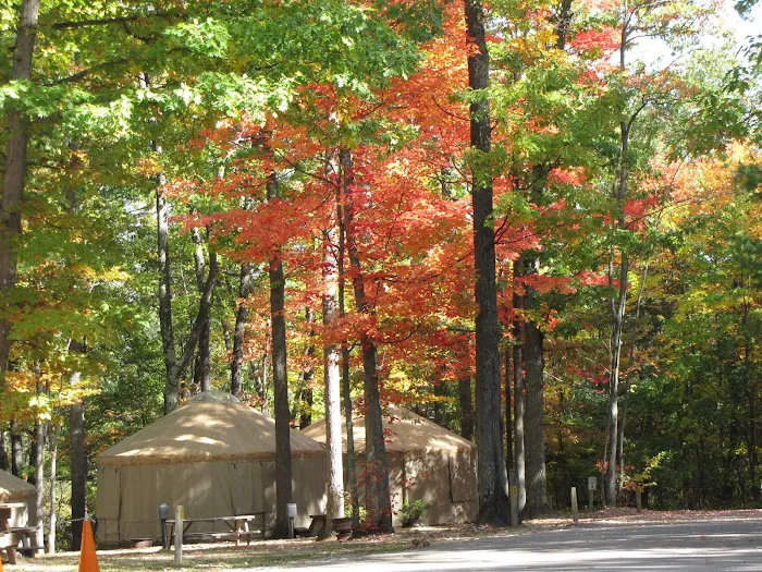 The Higgins Lake Campground Picture 8