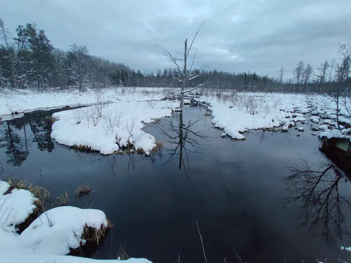 Meadows ORV Campground Picture 3