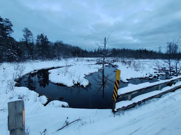 Meadows ORV Campground Picture 7