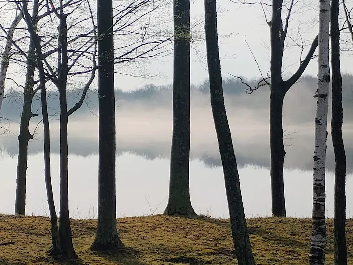 Arrowhead Lake Camp Picture 6