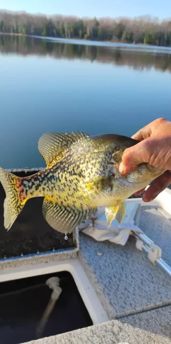 Arrowhead Lake Camp Picture 8