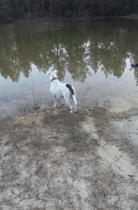 Lost Valley Campground Picture 7
