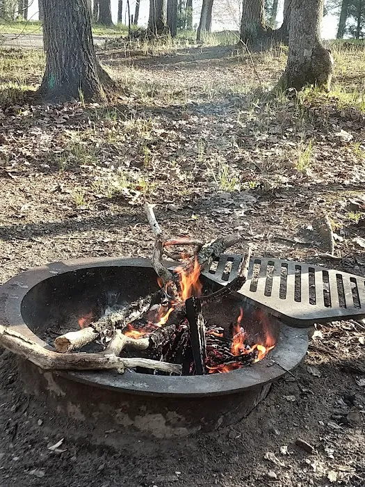 Island Lake Campground Picture 2