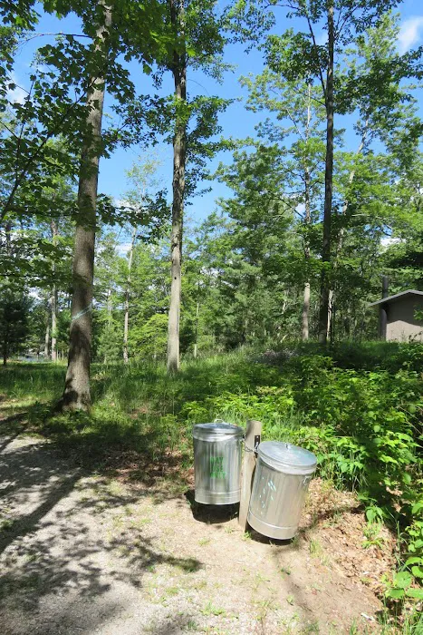 Island Lake Campground Picture 4