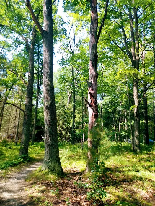 Island Lake Campground Picture 7