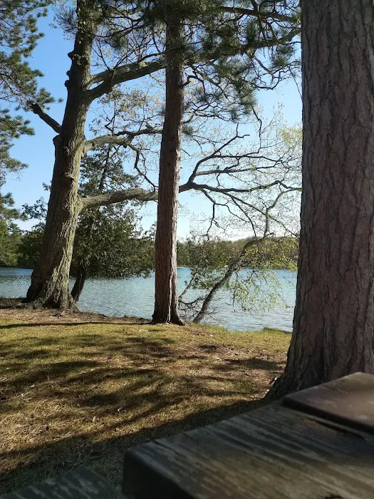 Island Lake Campground Picture 8