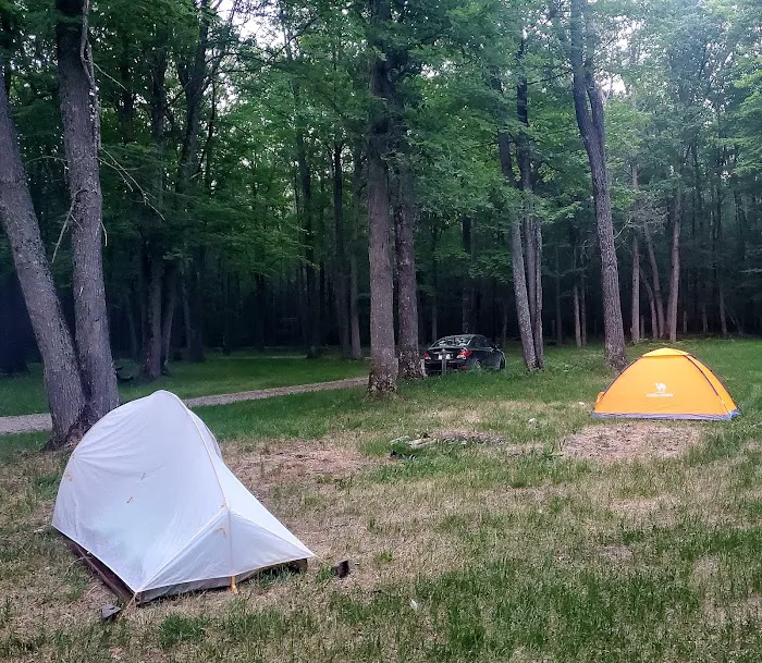 Luzerne Trail Camp Picture 1