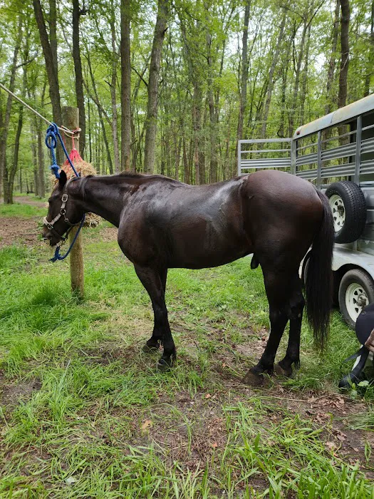 Luzerne Trail Camp Picture 3
