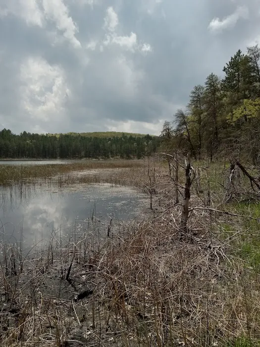Wagner Lake Campground Picture 5