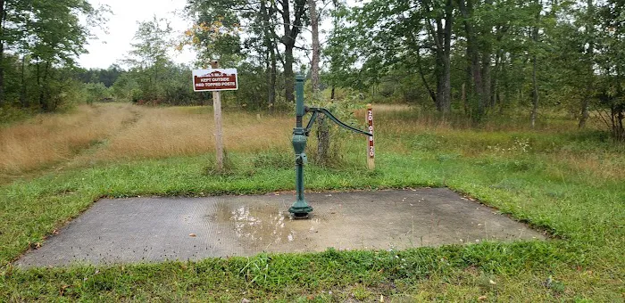 4 Mile State Forest Trail Camp Picture 2
