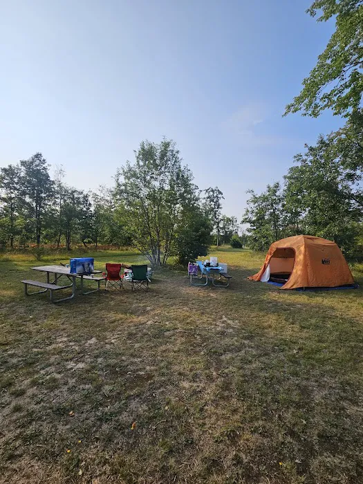 4 Mile State Forest Trail Camp Picture 1