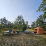 4 Mile State Forest Trail Camp