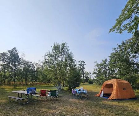 4 Mile State Forest Trail Camp