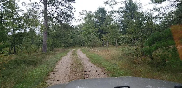 4 Mile State Forest Trail Camp Picture 8
