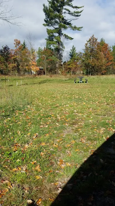4 Mile State Forest Trail Camp Picture 9