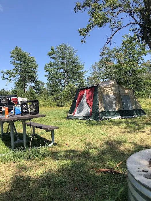 4 Mile State Forest Trail Camp Picture 6