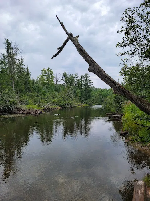 South Branch Campground Picture 2