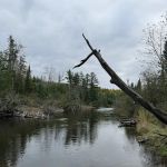 Canoe Harbor State Forest Campground