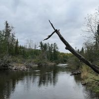 Canoe Harbor State Forest Campground ico