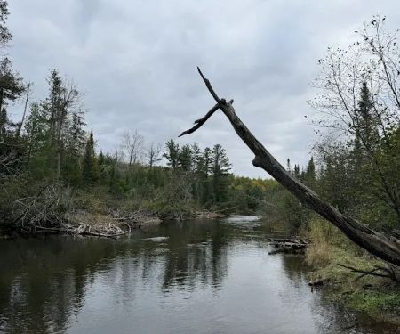 Canoe Harbor State Forest Campground