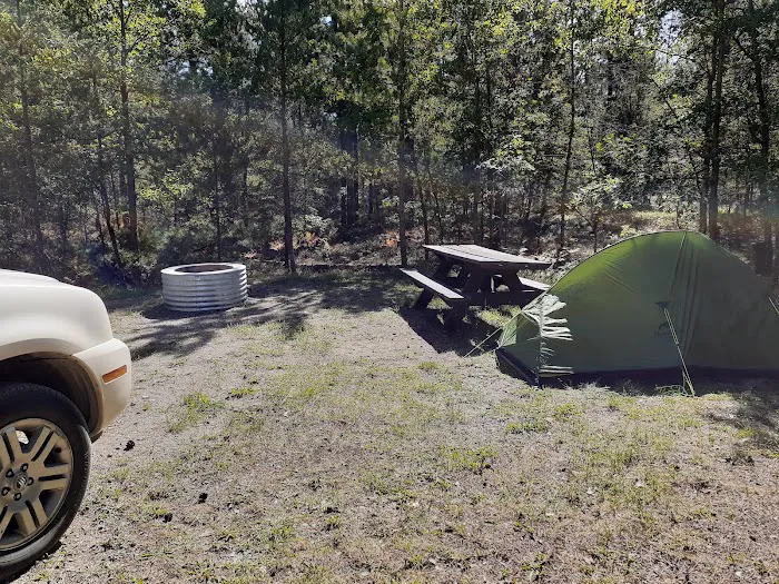 Canoe Harbor State Forest Campground Picture 6