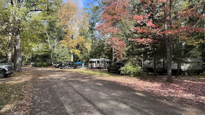 Higgins Lake State Park West Campground Picture 3