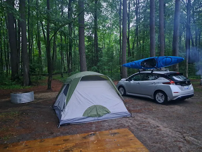 Higgins Lake State Park West Campground Picture 1